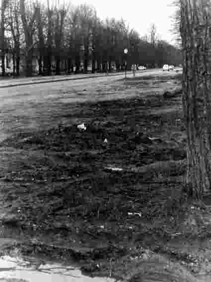 L'Avenue avant les travaux