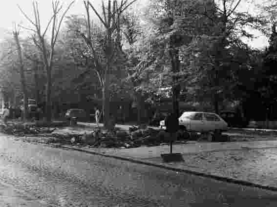 1972 abattage et élagage