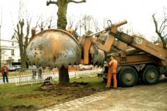 Replantation de tilleuls agés de 60 ans en 1986