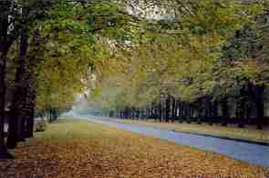 L'avenue du Ch&acirc;teau (novembre 2002)