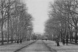 L'Avenue du Ch&acirc;teau en 1905