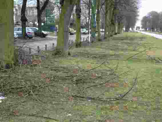 Petit entretien assur&eacute; par la Ville de Meudon